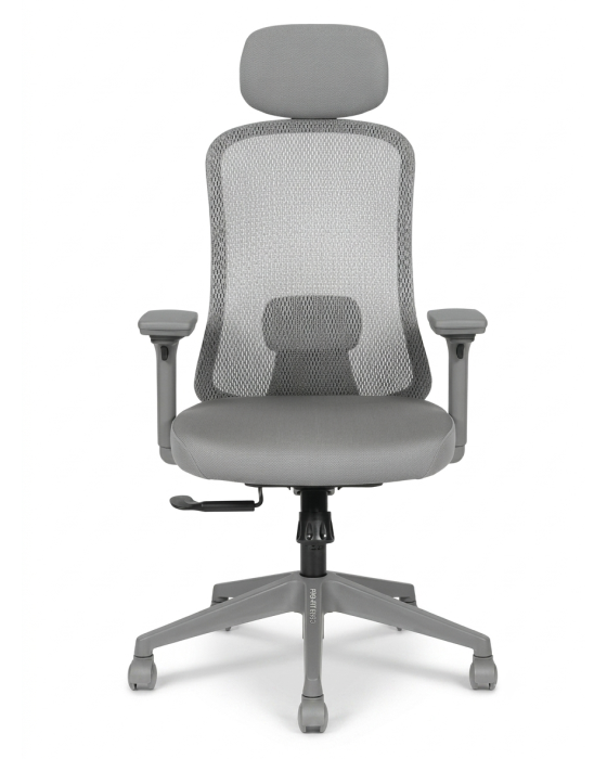 ACE GRIGIO HB