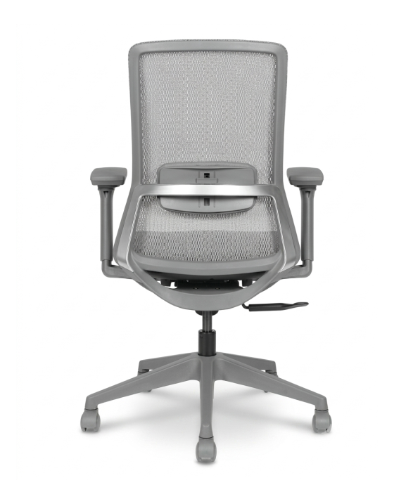 AVIS GRIGIO MB