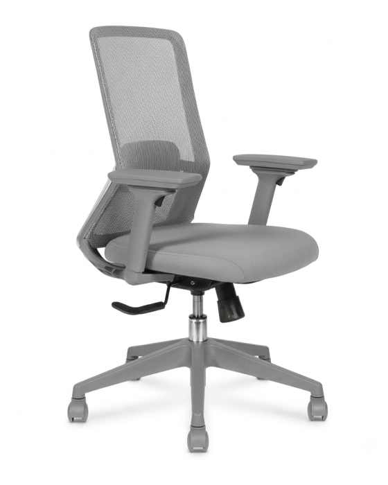 AVIS GRIGIO MB